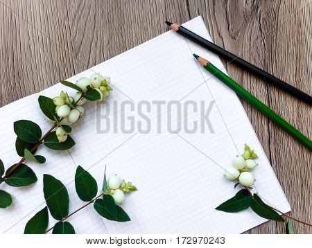 Closeup of notebook and pencils on wooden background decorated with green snowberry branches. School or university supplies. Top view flat lay view from above