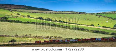 North Devon coast. On pastures graze many cattle and sheep. Exmoor. UK