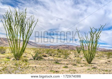 Spectacular Rock Formations At Joshua Tree