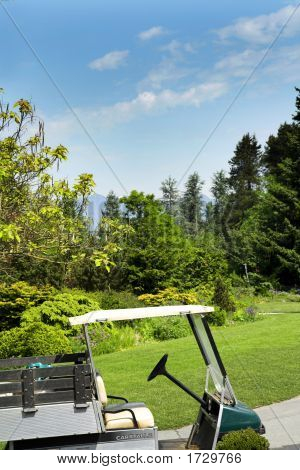 Golf-cart