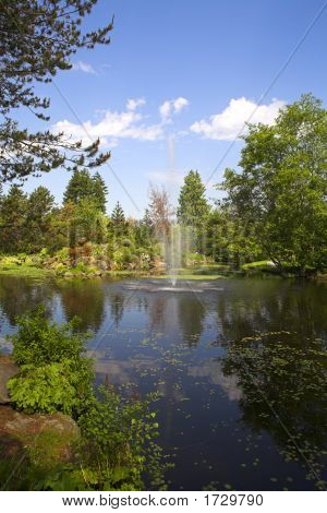 Brunnen im Botanischen Garten