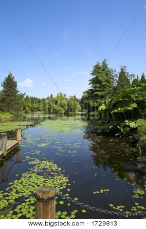 Botanischer Garten