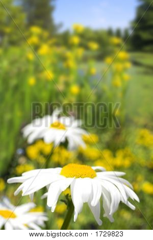 Überblick über Blumen