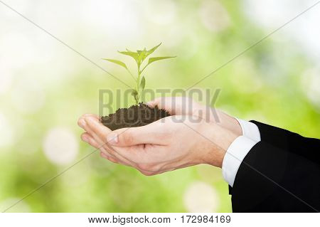 Close-up Of A Businessperson Hand Holding Plant With Soil