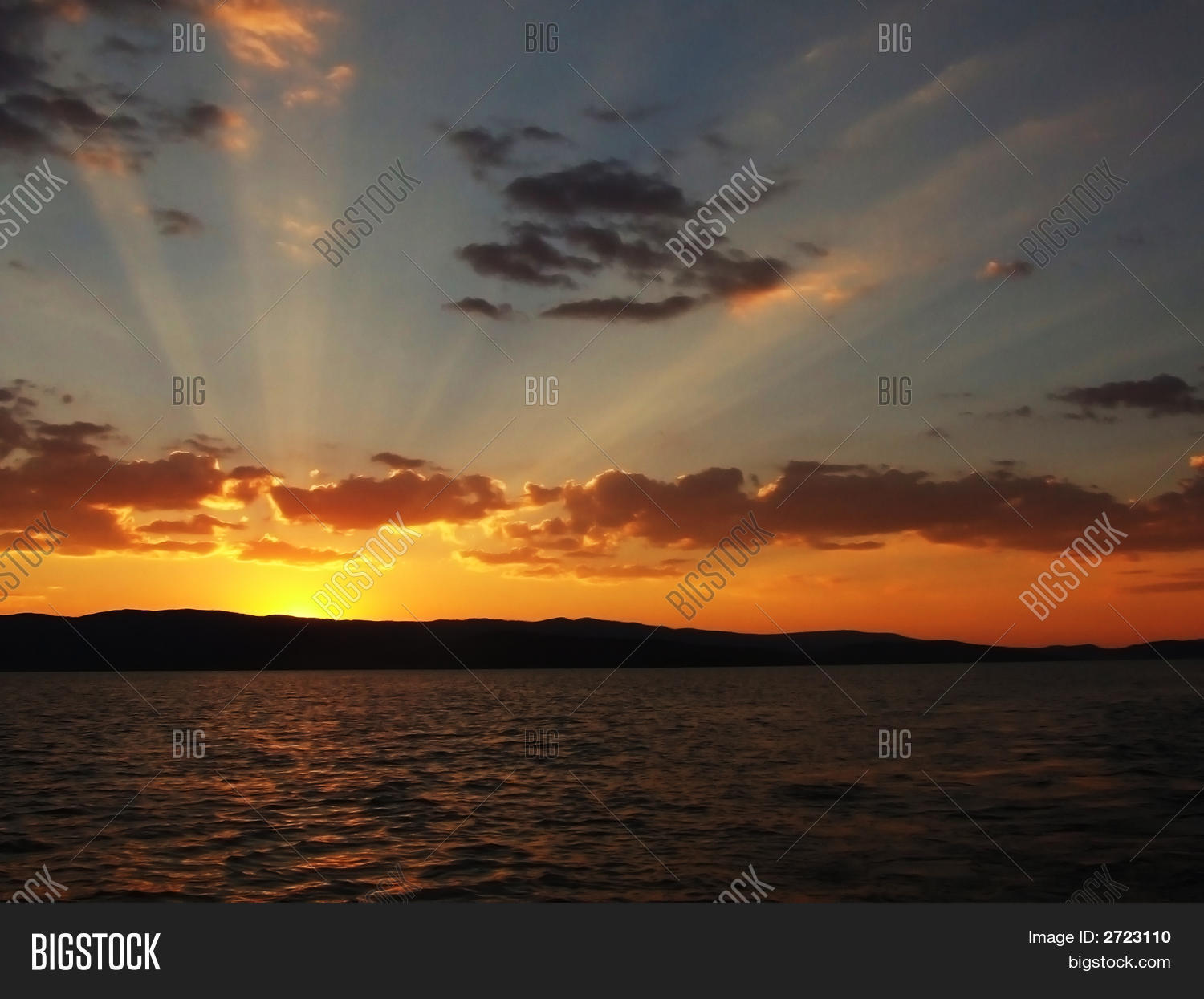 Image Preview