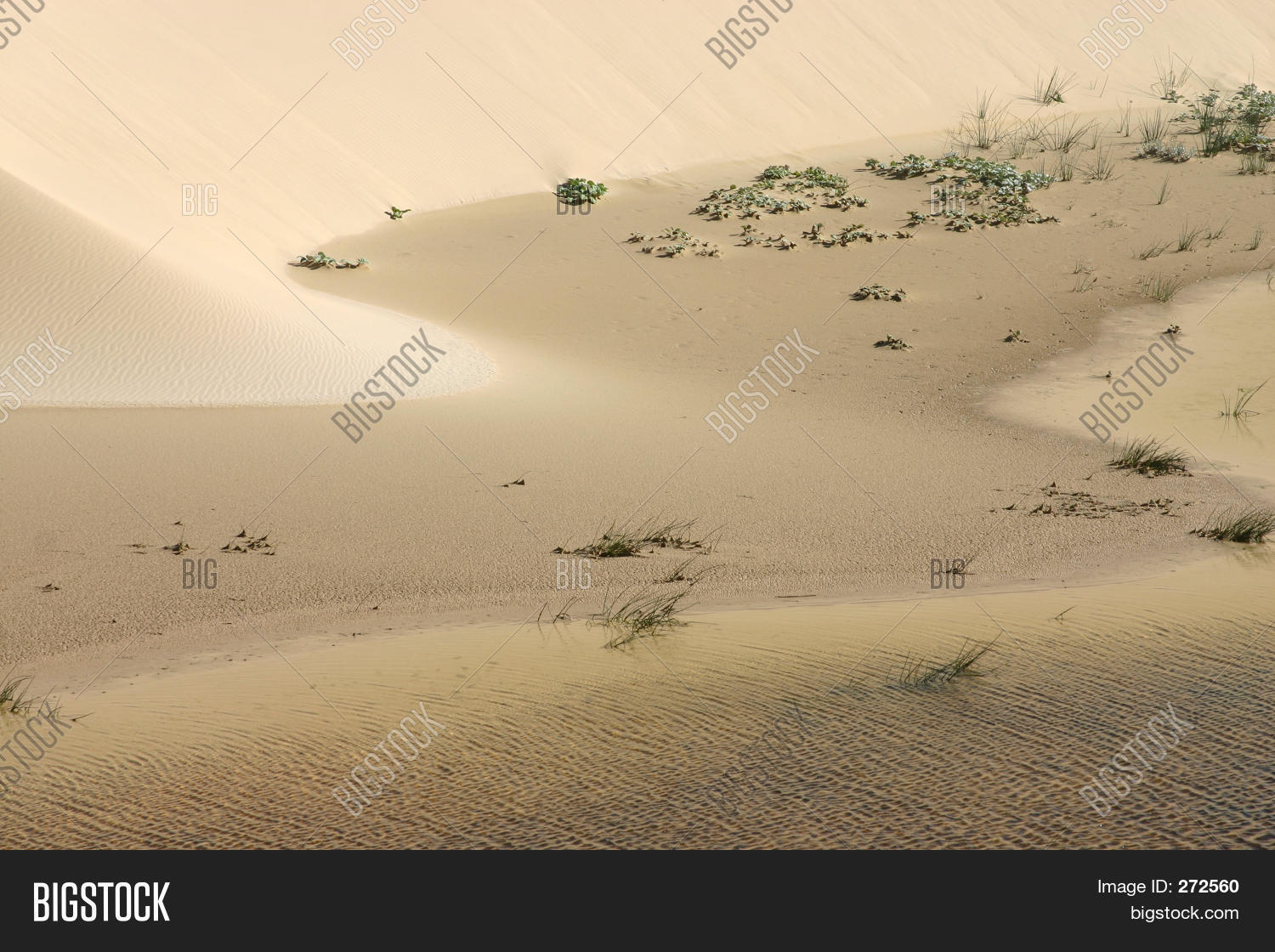 Image Preview