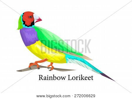 Rainbow Lorikeet Bird. Exotic Animal In Nature
