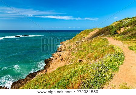 Ruins Of Tipasa, A Roman Colonia In Mauretania Caesariensis. Algeria, North Africa