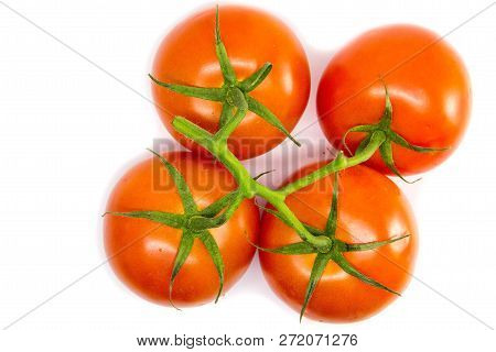 Red Tomatoes On A Branch On A White Background