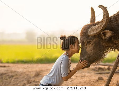 Beautiful Asian Woman With Long Horn Buffalo At Field Farm Ayutaya Thailand