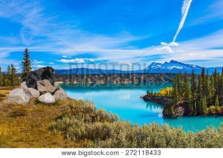 Gorgeous black bear resting on the rocks by the lake. Abraham Lake in the Rocky Mountains of Canada. Concept of active, ecological and photo tourism