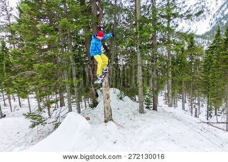 Freestyle Snowboarder Makes Flatland Standing On A Log In A Forest In Winter Mountains