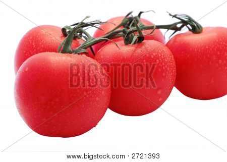 토마토
