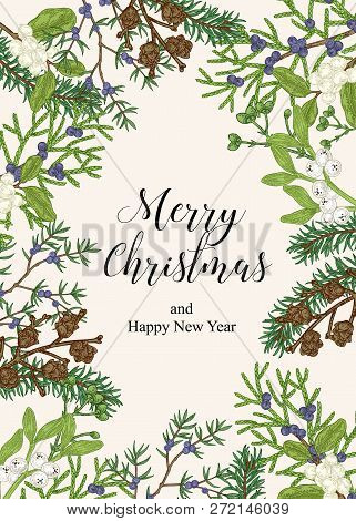 Hand Drawn Christmas Card With Winter Plants. Spruse, Mistletoe, Juniper And Cones Vector Illustrati