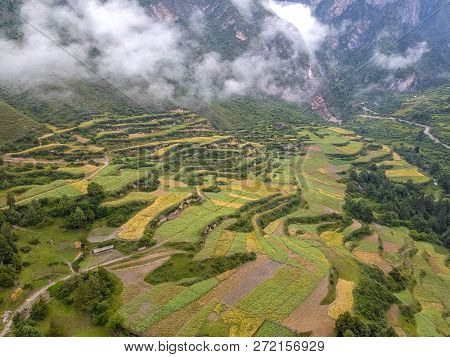 Zha Ga Na