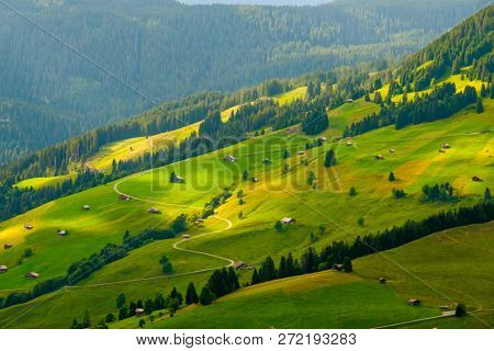 Summer landscape of Switzerland rural country side, near Habkern village