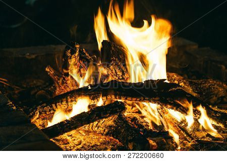 Camp fire in the night