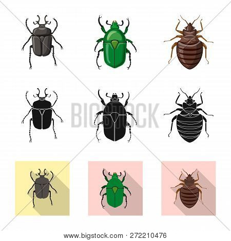 Vector Illustration Of Insect And Fly Icon. Collection Of Insect And Element Vector Icon For Stock.