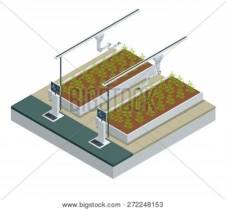 Isometric Modern Smart Industrial Greenhouse. Artificial Intelligence Robots In Agricultural. Organi