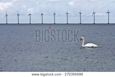 Offshore Wind Power In The Oeresund Chanel