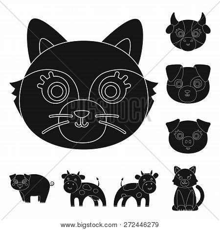 Vector Design Of Animal And Habitat Icon. Set Of Animal And Farm Stock Vector Illustration.