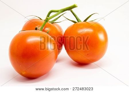 Red Tomatoes On A Branch On A White Background