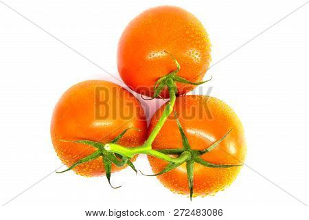 Red Tomatoes On A Branch On A White Background