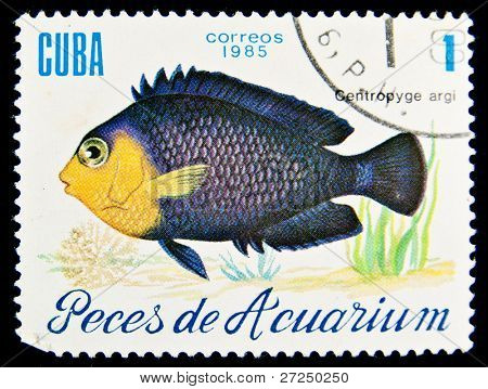 キューバ - 1985年年頃： キューバ ショー魚 Centropyge アグリ 1985年年頃で印刷スタンプ
