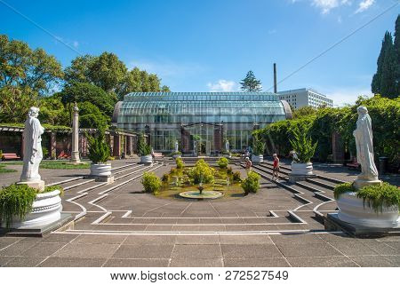 Auckland, New Zealand - March 05 2017: The Winter Garden At The Auckland Domain Is A Treasure Of Gre