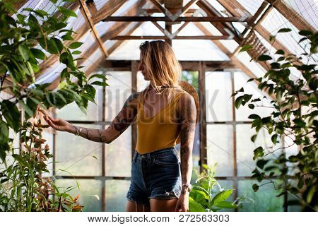 Beautiful woman in a greenhouse