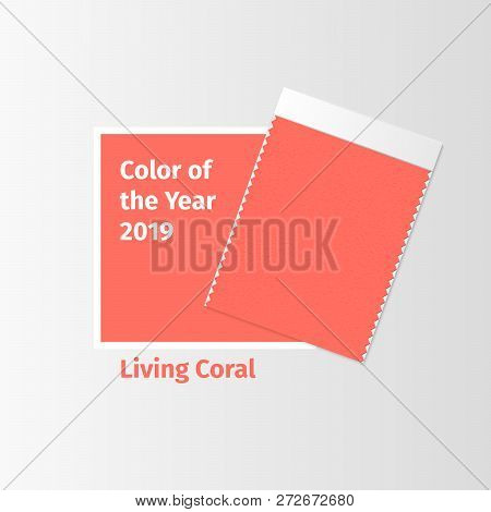 Fabric Samples Vector Photo Free Trial Bigstock