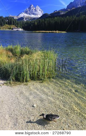 Misurinasee in den Dolomiten