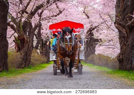 Iwate , Japan - April 22 2018: A Horse Carriage Carry A Group Of Tourists Rolls Through The Tunnel O