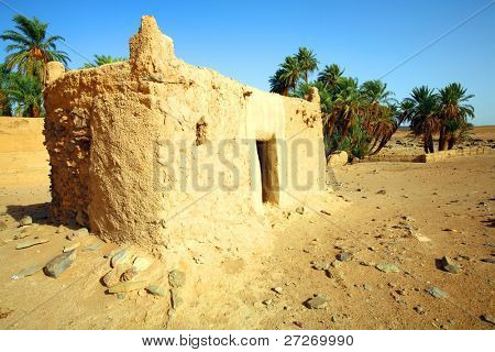 D'Oum Laalag oasi nel deserto del Sahara, in Marocco, Africa
