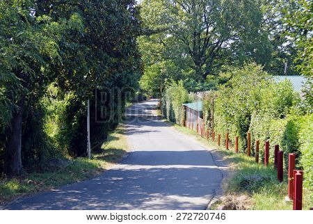 Meditsintskaya (medical) Street In The Village Golovinka (lazarevsky District, Sochi)
