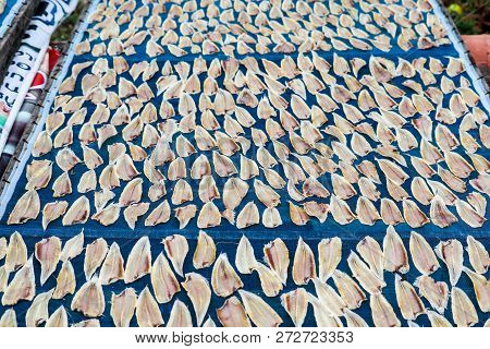 Deep Dried Fish Is Preserve, You Should Be Cooked Before Eating