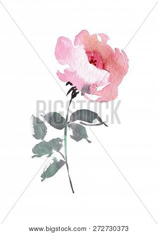 Vintage Flower Overwhite Background. Wedding Flowers Bundle. Flower Of Watercolor Detailed Hand Draw