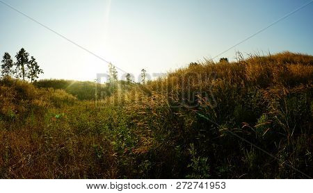 The Mountain Twilight Sky Power Full Color,the Mountain Is Full Of Grass. Grasses Are Blown In The D