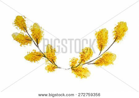 Lush Blooming Delicate Flowers Willow Branches. Handmade Watercolor Isolated On White Background