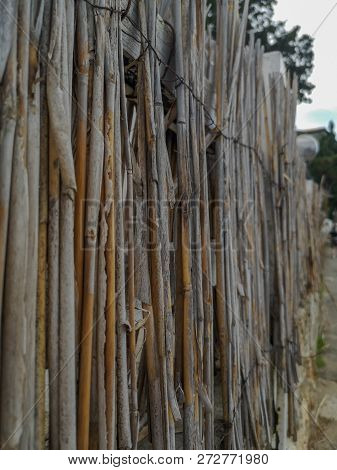No People Day Tree Wood Material Nature Plant Outdoors Close-up Bamboo Large Group Of Objects Select