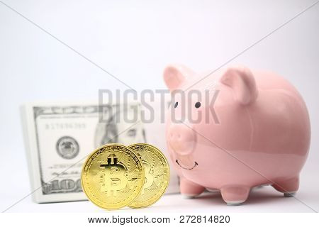 The Piggy Bank   Like Concept Of   Investment