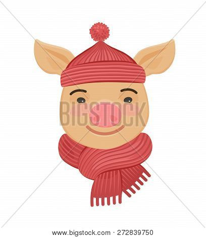 Little Funny Pig In A Knitted Hat And Scarf. Cartoon Vector Illustration