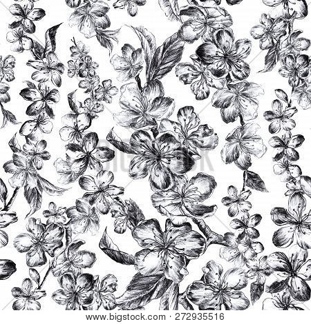 Hand Drawn Charcoal Pencil Illustration Flowers Of The Pulm Blossoms In Vintage Style. Beutiful Seam