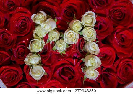 Red Roses With Drops Of Water . Letter M Formed With Petals Of Rose Red, Background And Texture . Re