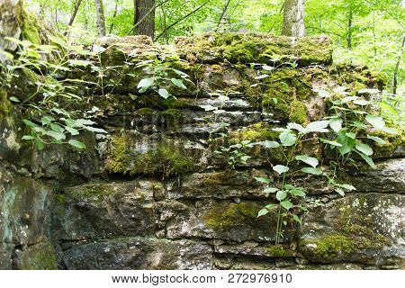 Detail Of An Abandoned Stone Building In A Forest.  Old Stone Fort State Archaeological Park, Manche