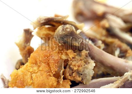 Leftovers Food Chicken Bone, Waste Food, Chicken Bone From Eating, Fried Chicken Bone Waste Food (se