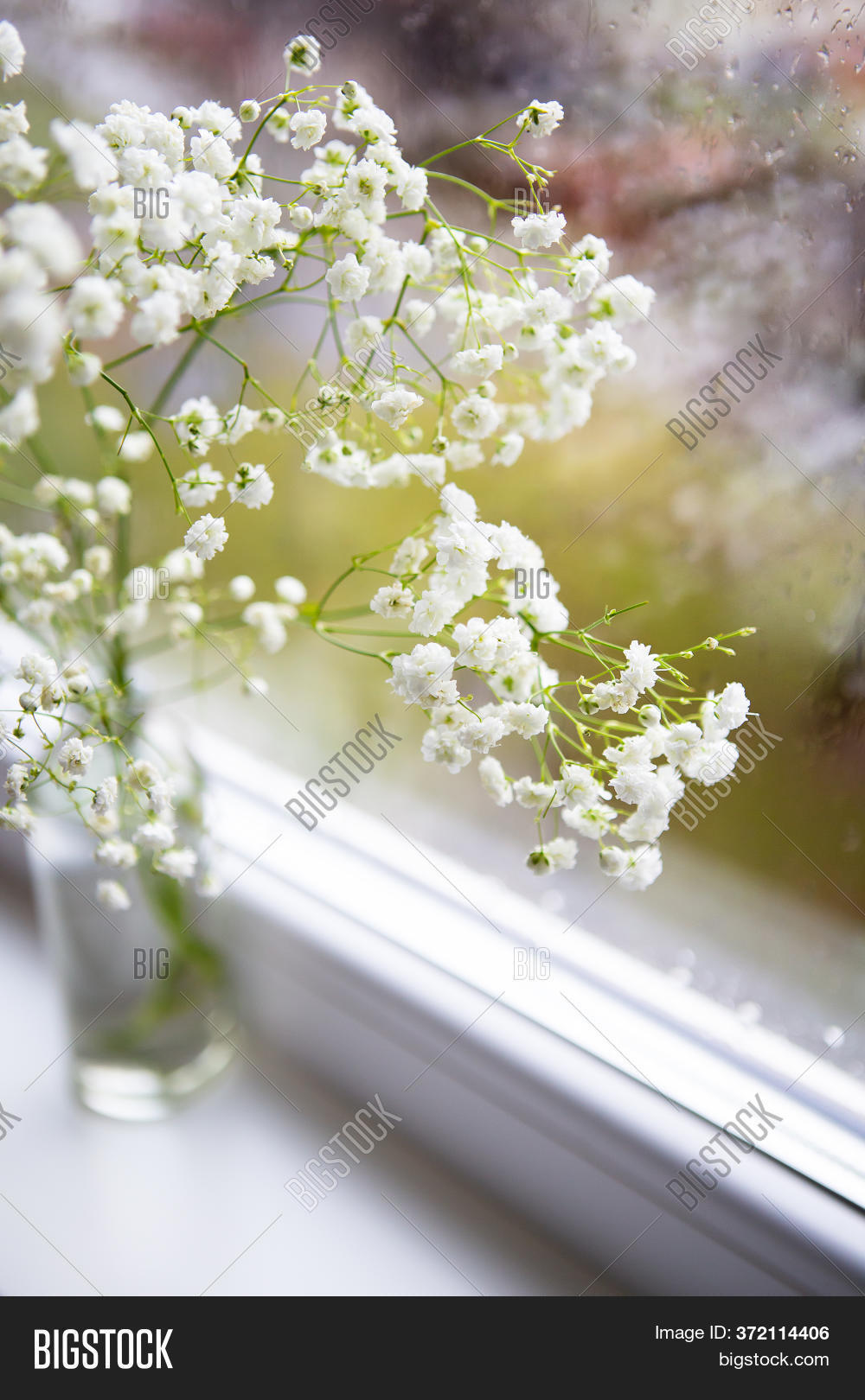 Beautiful White Image Photo Free Trial Bigstock beautiful-white-image-photo-free-trial-bigstock