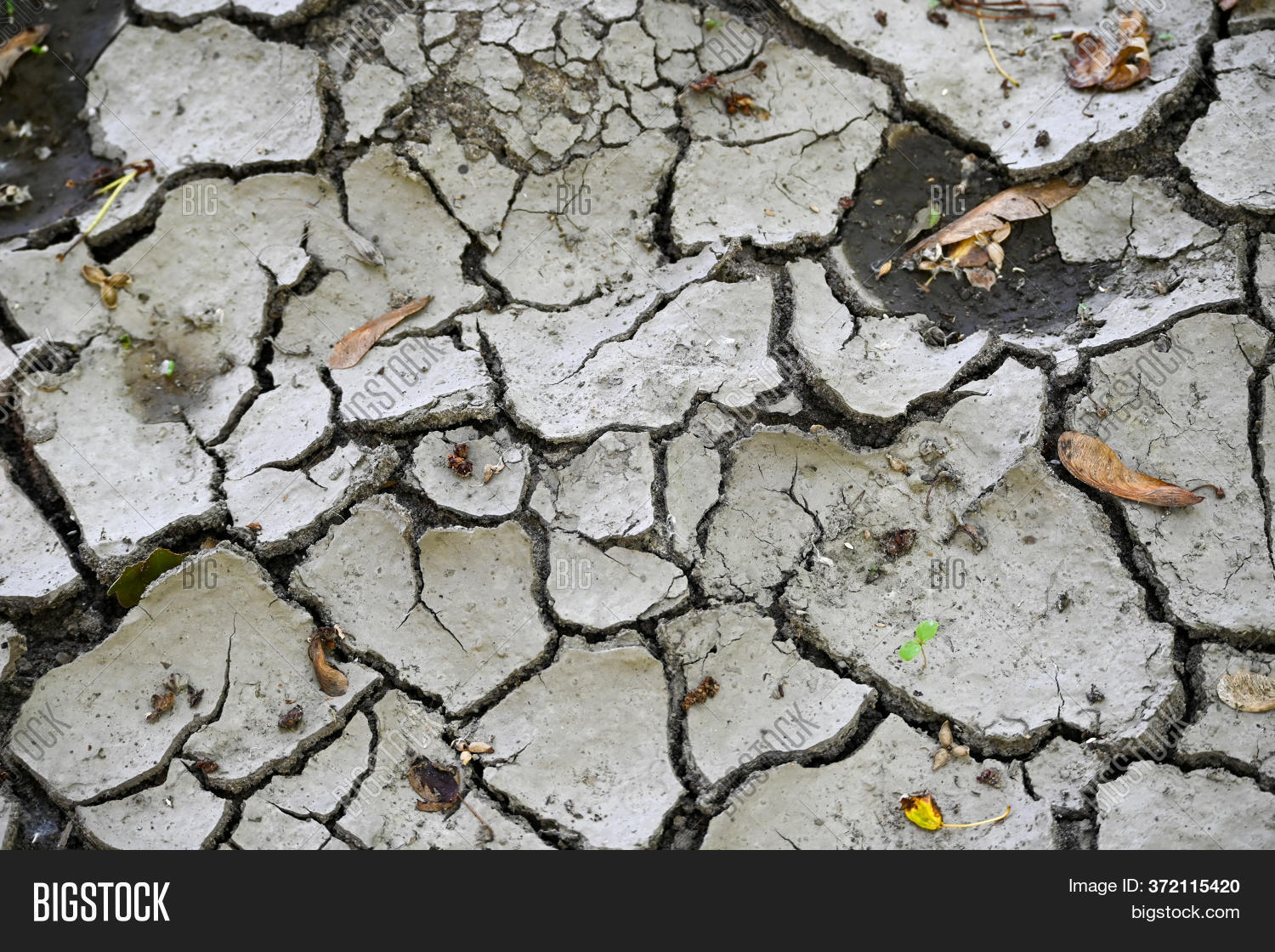 Caked Mud Breaking On Image & Photo (Free Trial) Bigstock
