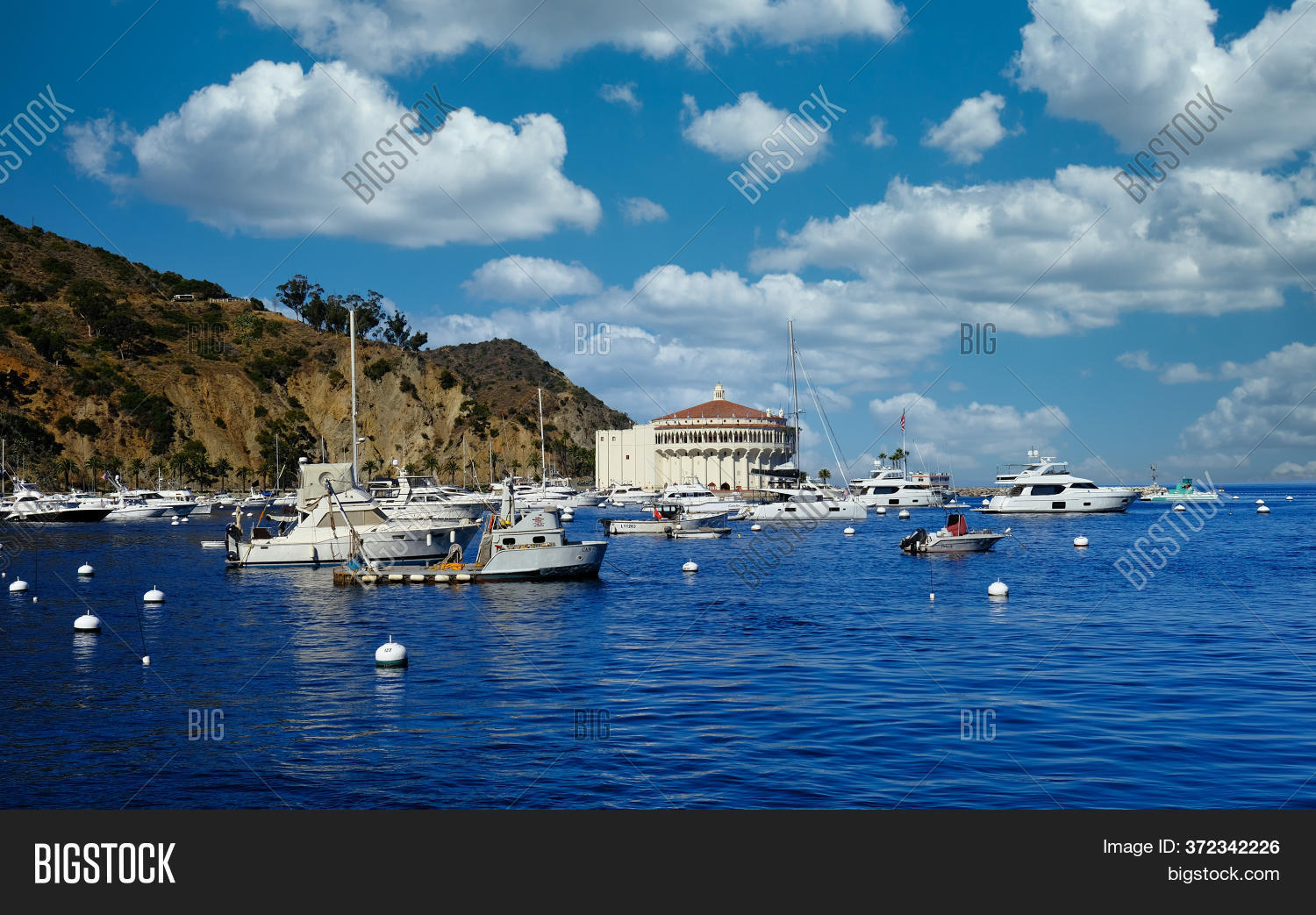 Avalon, California Image & Photo (Free Trial) Bigstock