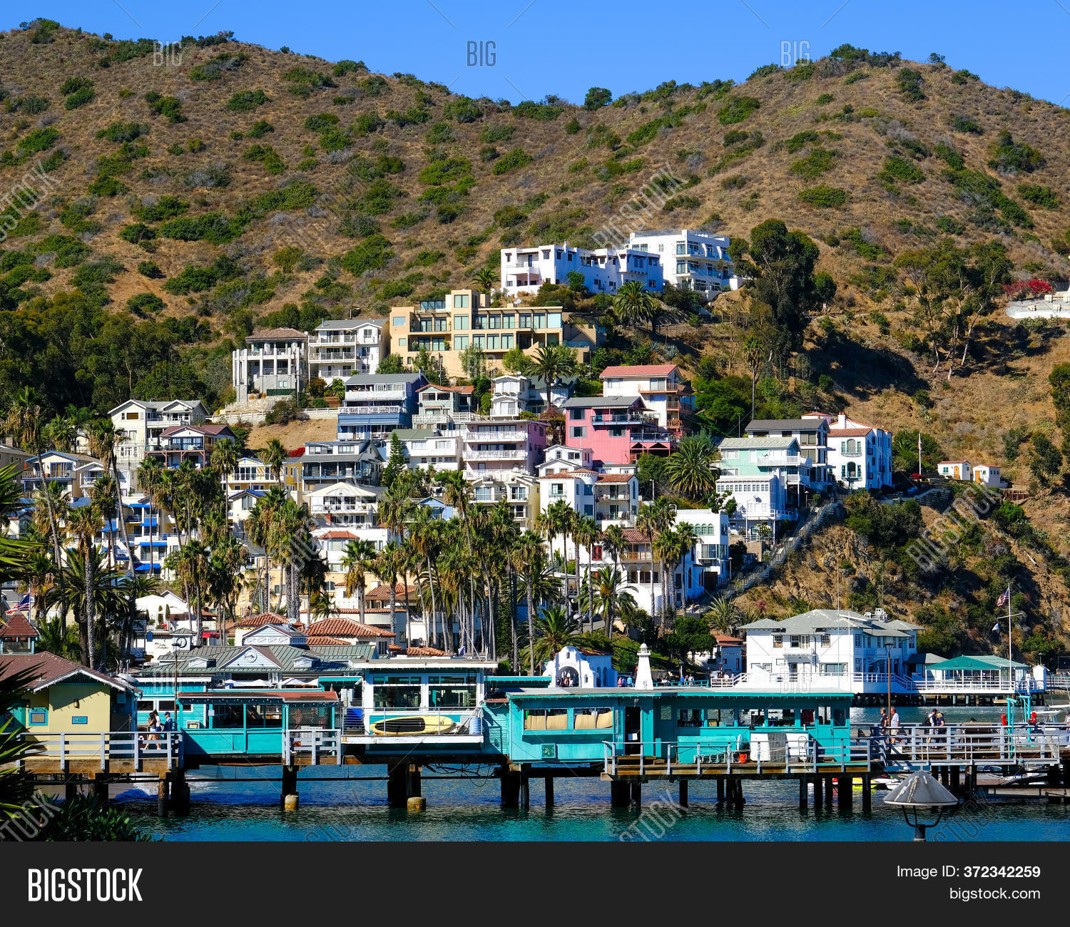 Avalon, California Image & Photo (Free Trial) Bigstock